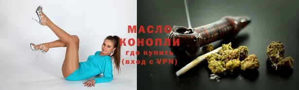 гашик Алапаевск