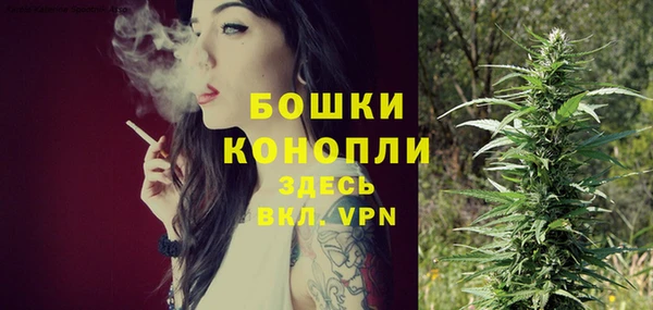 гидра Кукмор