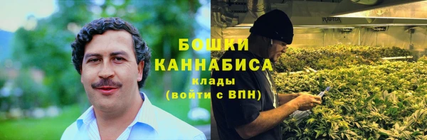 2c-b Ладушкин