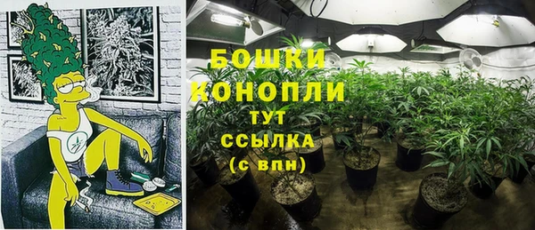 2c-b Ладушкин
